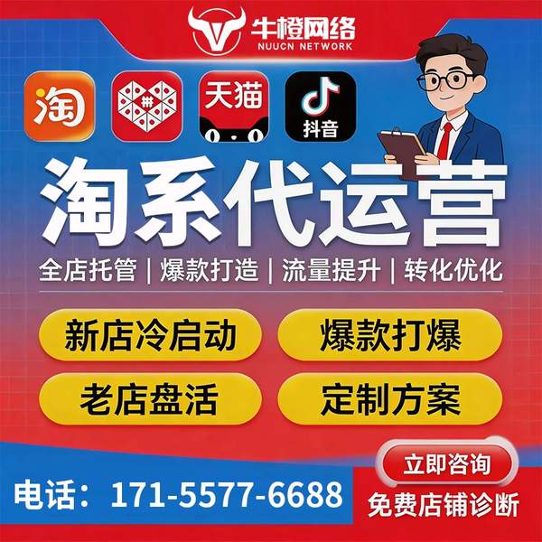 莱芜电商代运营