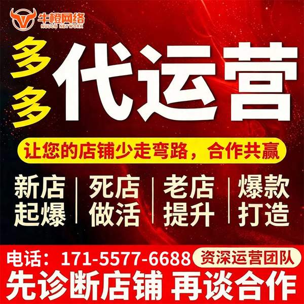 莱芜电商代运营