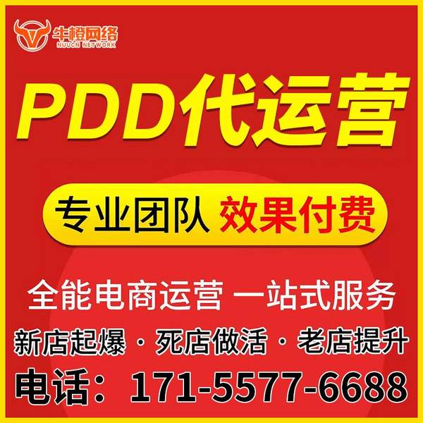 莱芜电商代运营