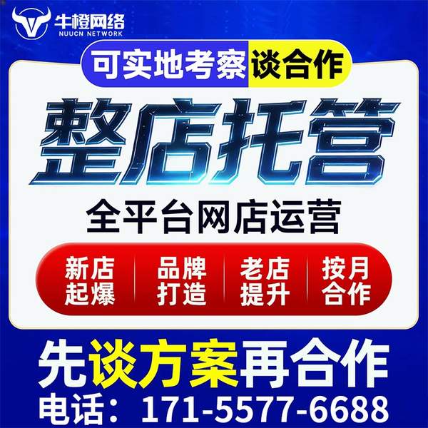 莱芜电商代运营