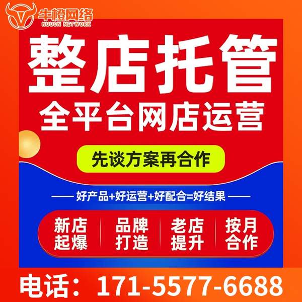 莱芜电商代运营