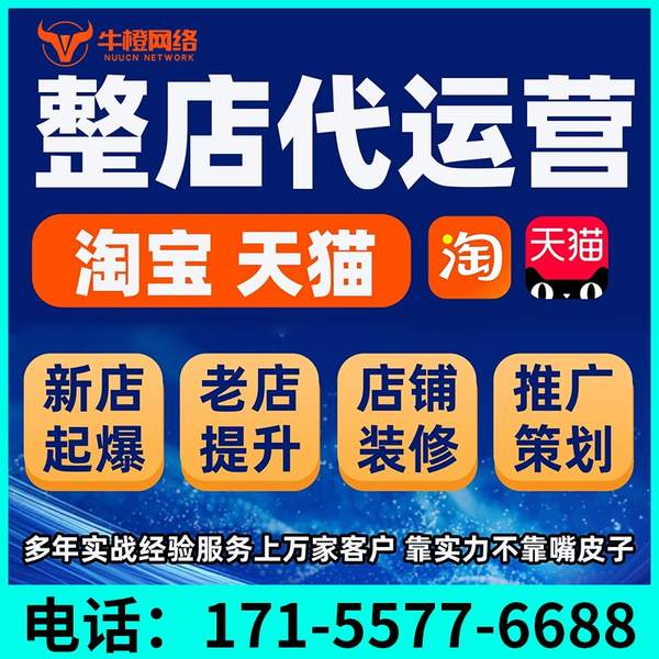莱芜电商代运营