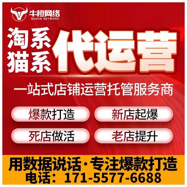莱芜电商代运营